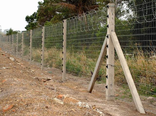 Electric Fence with Razor Wire Integration